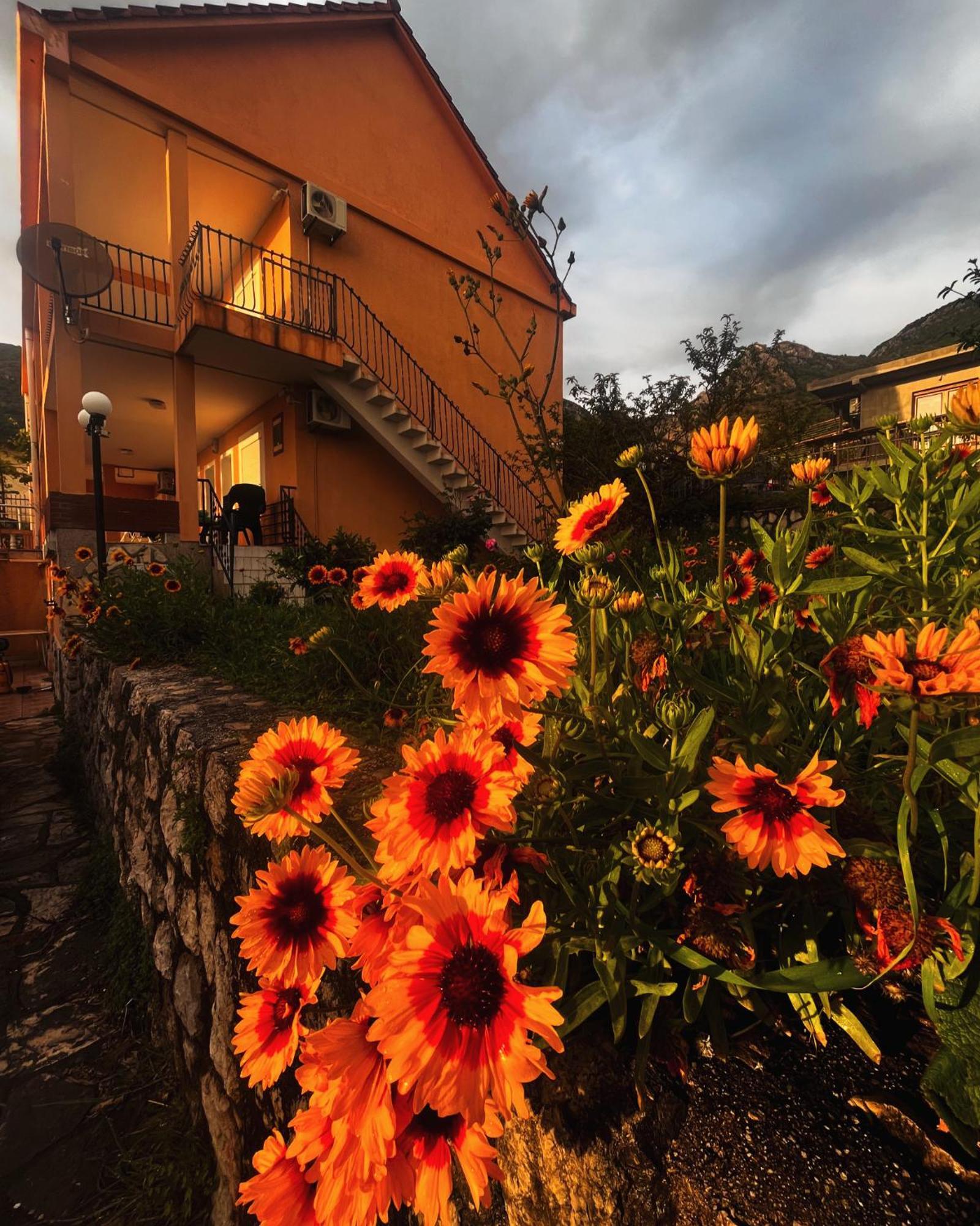 Apartments In Villa Viktoria Sutomore Eksteriør bilde